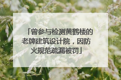 曾参与检测黄鹤楼的老牌建筑设计院，因防火规范疏漏被罚