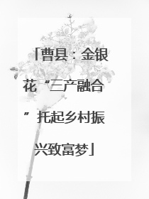 曹县：金银花“三产融合”托起乡村振兴致富梦
