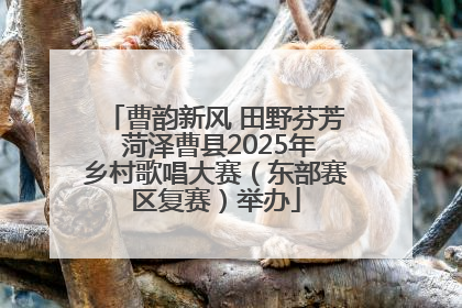 曹韵新风 田野芬芳 菏泽曹县2025年乡村歌唱大赛（东部赛区复赛）举办