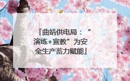 曲靖供电局：“演练+宣教”为安全生产蓄力赋能