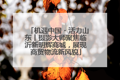 机遇中国・活力山东丨摄影大师聚焦临沂新明辉商城，展现商贸物流新风貌