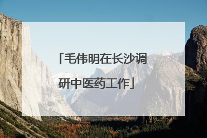 毛伟明在长沙调研中医药工作