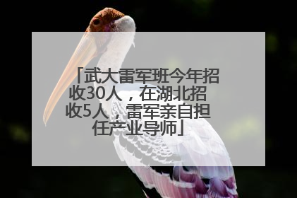 武大雷军班今年招收30人，在湖北招收5人，雷军亲自担任产业导师