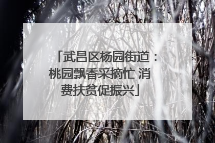 武昌区杨园街道：桃园飘香采摘忙 消费扶贫促振兴