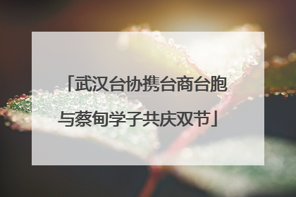 武汉台协携台商台胞与蔡甸学子共庆双节
