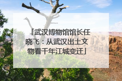 武汉博物馆馆长任晓飞：从武汉出土文物看千年江城变迁