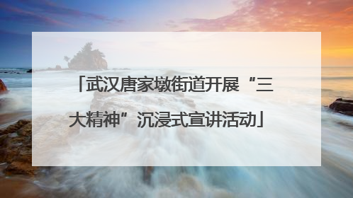 武汉唐家墩街道开展“三大精神”沉浸式宣讲活动
