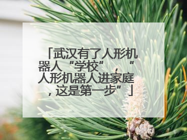 武汉有了人形机器人“学校”，“人形机器人进家庭，这是第一步”