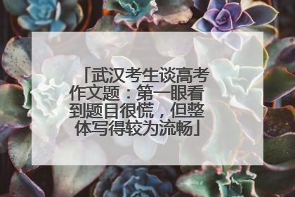 武汉考生谈高考作文题：第一眼看到题目很慌，但整体写得较为流畅