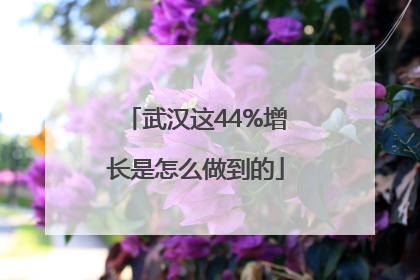 武汉这44%增长是怎么做到的