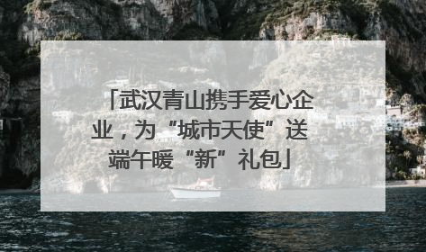 武汉青山携手爱心企业，为“城市天使”送端午暖“新”礼包
