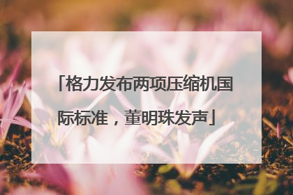 格力发布两项压缩机国际标准，董明珠发声