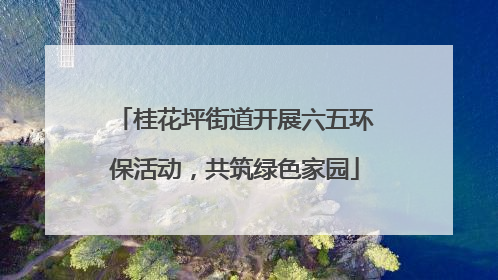 桂花坪街道开展六五环保活动，共筑绿色家园