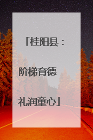 桂阳县：阶梯育德 礼润童心