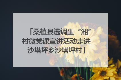 桑植县选调生“湘”村微党课宣讲活动走进沙塔坪乡沙塔坪村