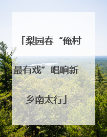 梨园春“俺村最有戏”唱响新乡南太行