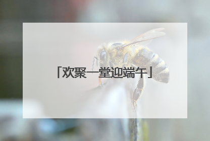 欢聚一堂迎端午
