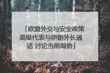 欧盟外交与安全政策高级代表与伊朗外长通话 讨论当前局势