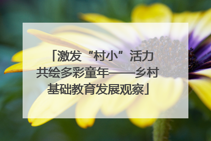 激发“村小”活力 共绘多彩童年——乡村基础教育发展观察