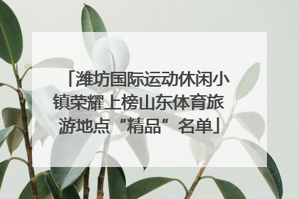 潍坊国际运动休闲小镇荣耀上榜山东体育旅游地点“精品”名单