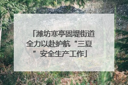 潍坊寒亭固堤街道全力以赴护航“三夏”安全生产工作