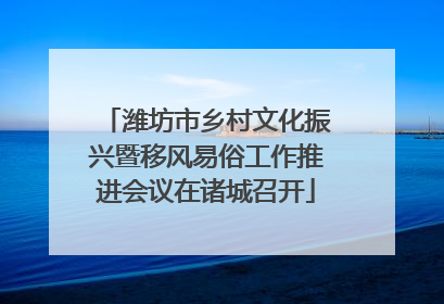 潍坊市乡村文化振兴暨移风易俗工作推进会议在诸城召开
