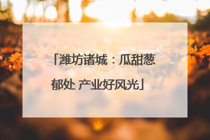 潍坊诸城：瓜甜葱郁处 产业好风光