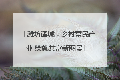 潍坊诸城：乡村富民产业 绘就共富新图景