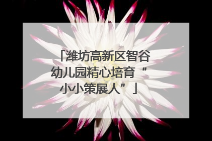 潍坊高新区智谷幼儿园精心培育“小小策展人”