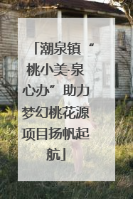潮泉镇“桃小美·泉心办”助力梦幻桃花源项目扬帆起航