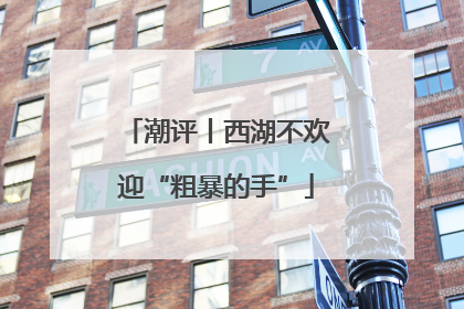 潮评丨西湖不欢迎“粗暴的手”