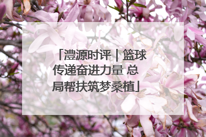 澧源时评｜篮球传递奋进力量 总局帮扶筑梦桑植