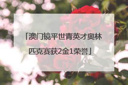 澳门镜平世青英才奥林匹克赛获2金1荣誉