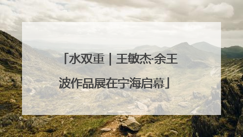 水双重｜王敏杰·余王波作品展在宁海启幕