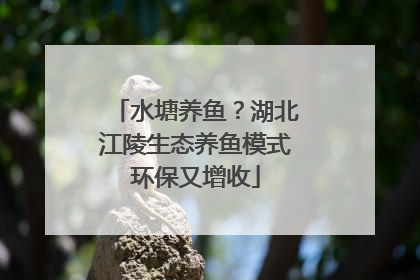 水塘养鱼？湖北江陵生态养鱼模式环保又增收