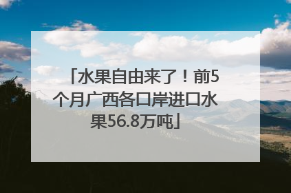 水果自由来了！前5个月广西各口岸进口水果56.8万吨