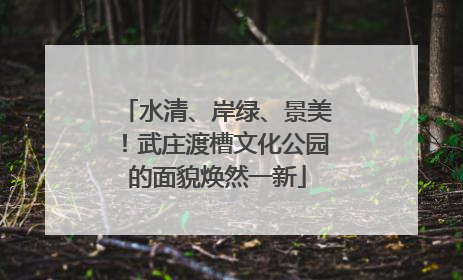 水清、岸绿、景美！武庄渡槽文化公园的面貌焕然一新