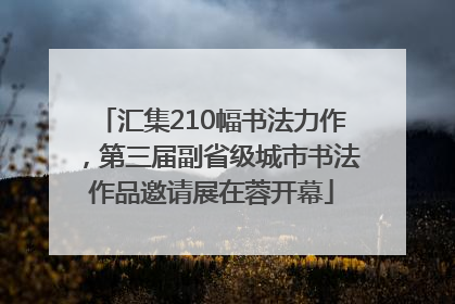 汇集210幅书法力作，第三届副省级城市书法作品邀请展在蓉开幕