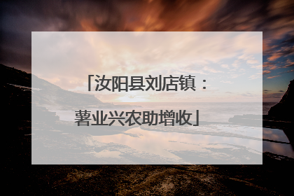 汝阳县刘店镇：薯业兴农助增收