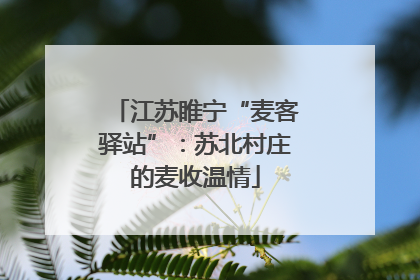 江苏睢宁“麦客驿站”：苏北村庄的麦收温情