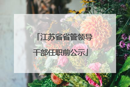 江苏省省管领导干部任职前公示