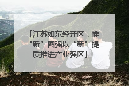江苏如东经开区：惟“新”图强以“新”提质推进产业强区