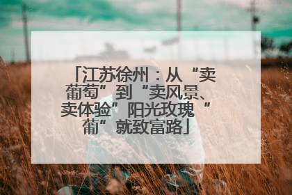 江苏徐州：从“卖葡萄”到“卖风景、卖体验”阳光玫瑰“葡”就致富路