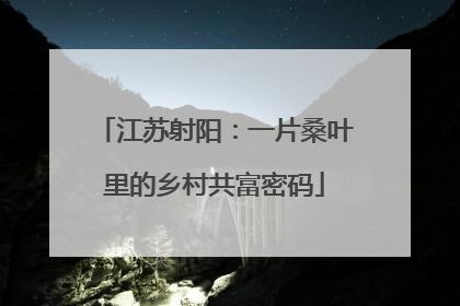 江苏射阳：一片桑叶里的乡村共富密码