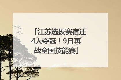 江苏选拔赛宿迁4人夺冠！9月再战全国技能赛