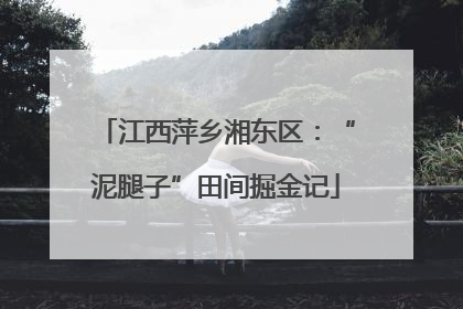 江西萍乡湘东区：“泥腿子”田间掘金记