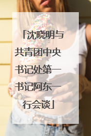 沈晓明与共青团中央书记处第一书记阿东一行会谈
