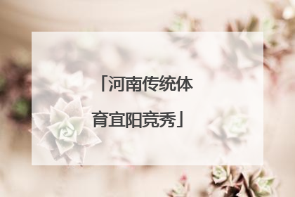 河南传统体育宜阳竞秀