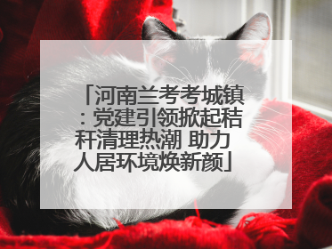 河南兰考考城镇：党建引领掀起秸秆清理热潮 助力人居环境焕新颜