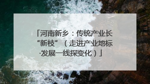 河南新乡：传统产业长“新枝”（走进产业地标·发展一线探变化）